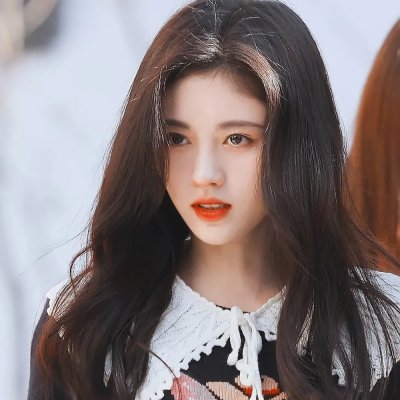 金车美人